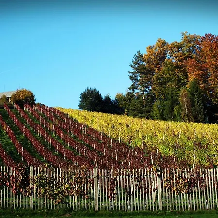 ホテル Natura Amon