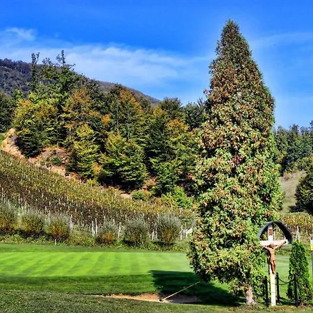 ホテル Natura Amon ポドチェトルテク