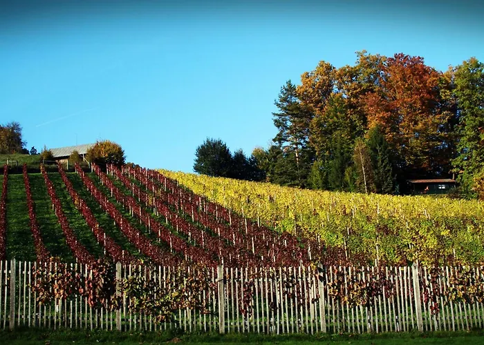 ホテル Natura Amon