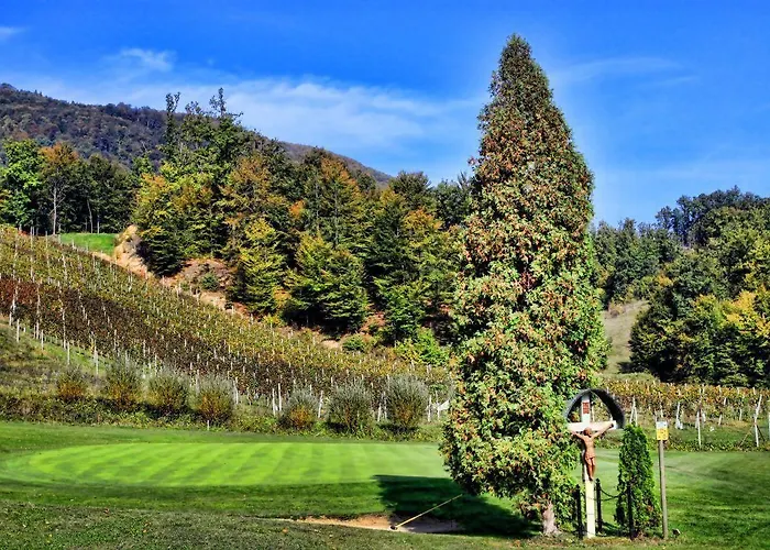 ホテル Natura Amon ポドチェトルテク